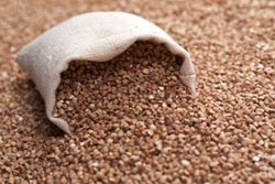 крупа гречки