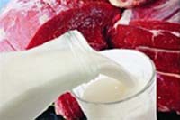 поставки белорусской продукции 