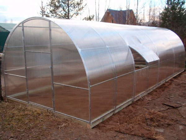 Теплица Кремлевская цинк