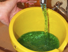 Зеленая вода. Теперь мы будем пить зеленую воду?